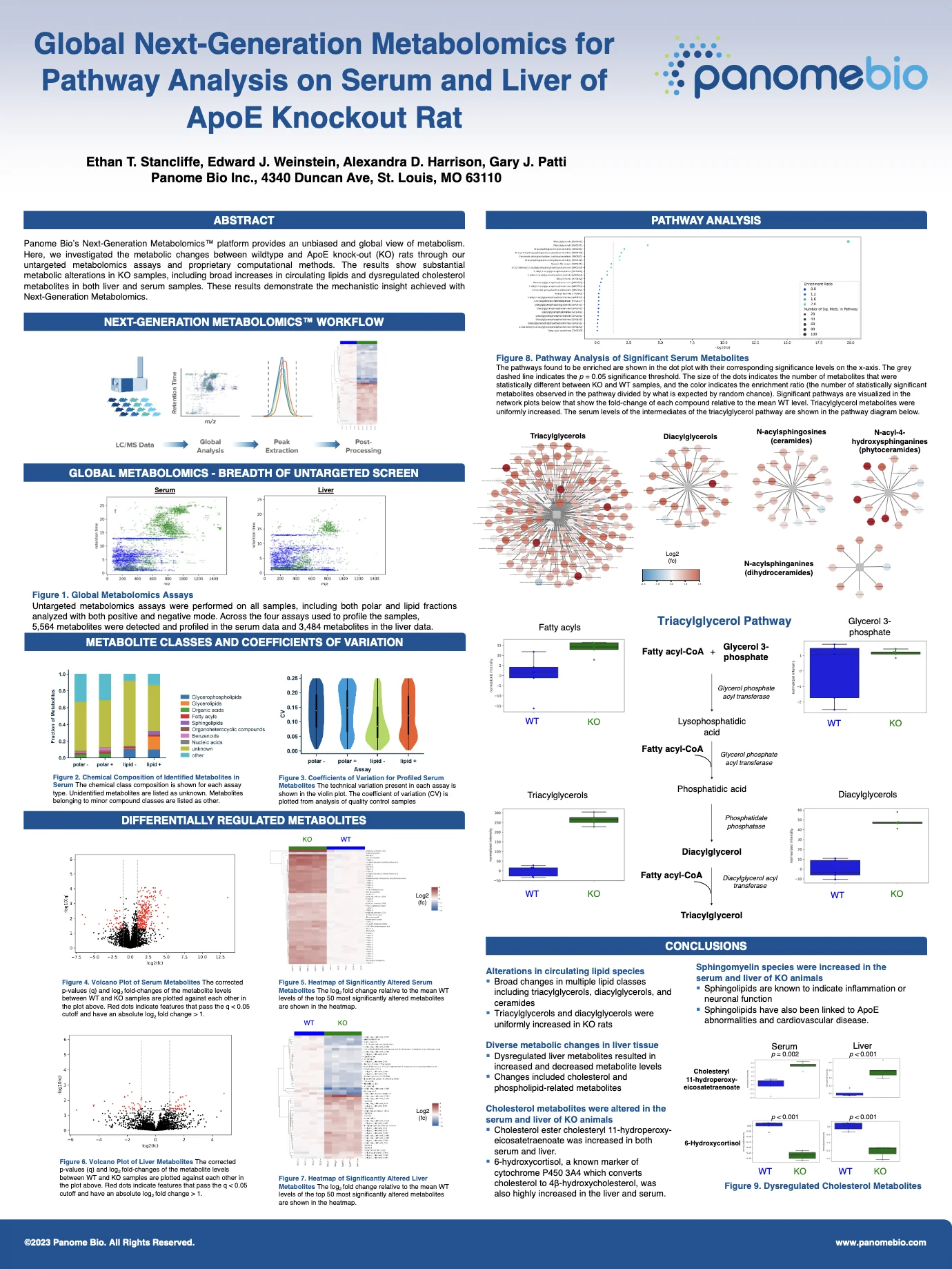 Data Analysis Report