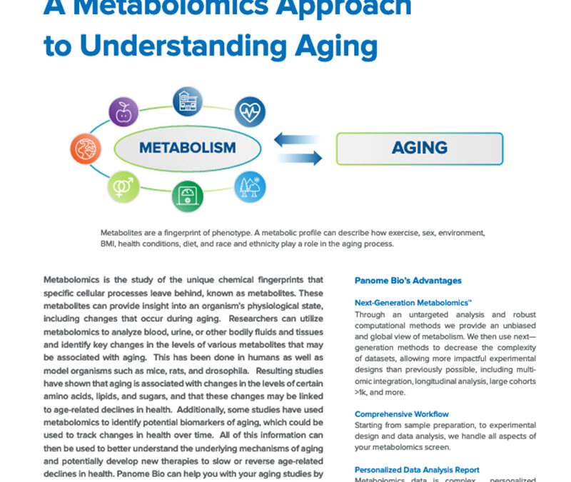 A Metabolomics Approach to Understanding Aging