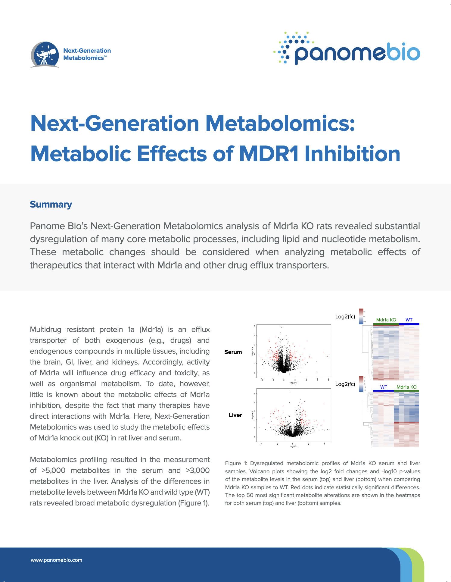 Next-Generation Metabolomics: Metabolic Effects of MDR1 Inhibition