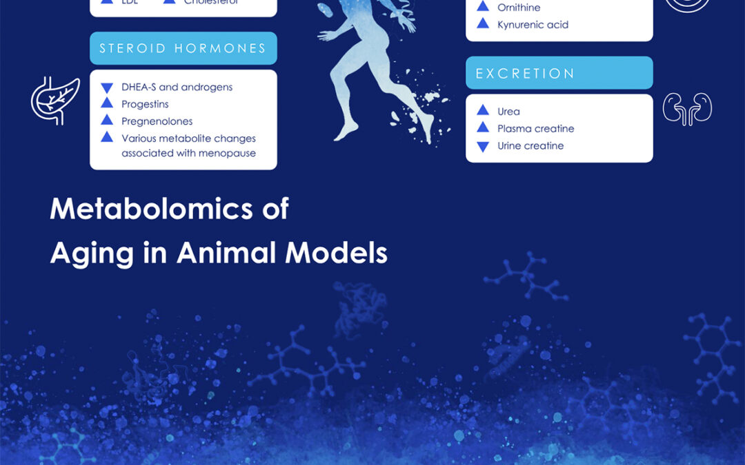 Aging Metabolomics in Animal Models: Unlocking Molecular Insights