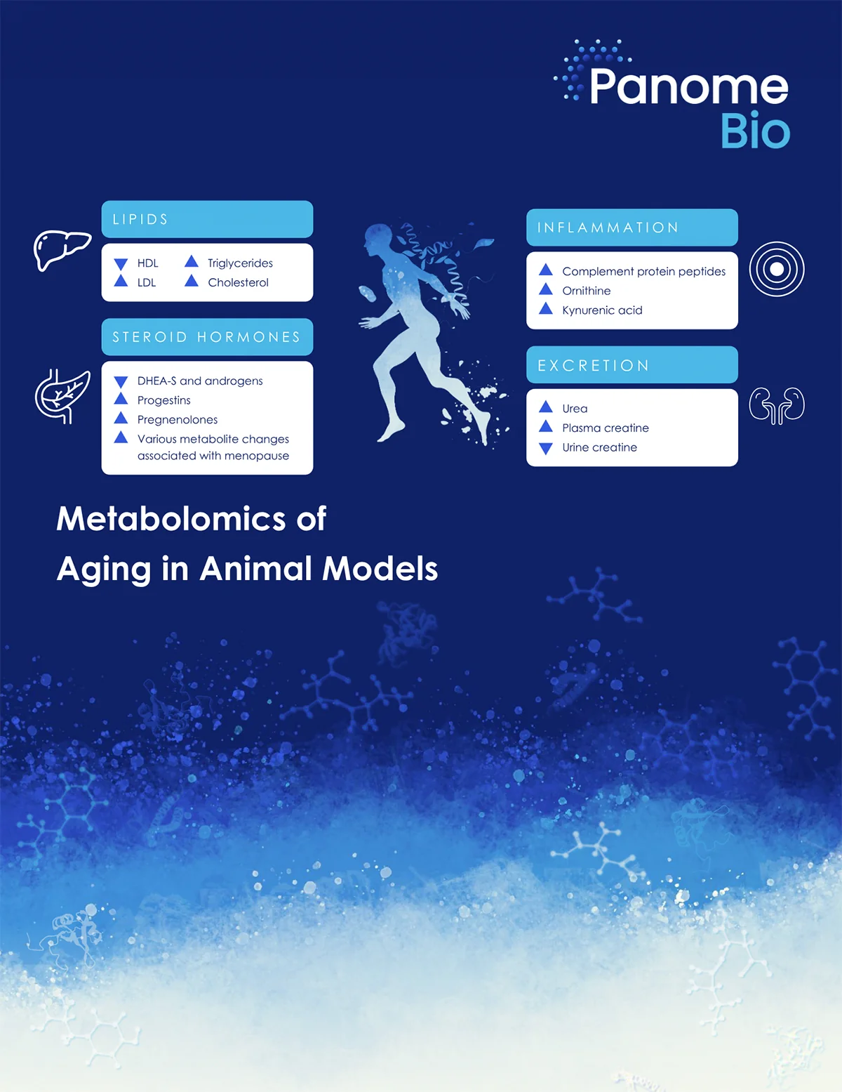 Aging Metabolomics in Animal Models: Unlocking Molecular Insights