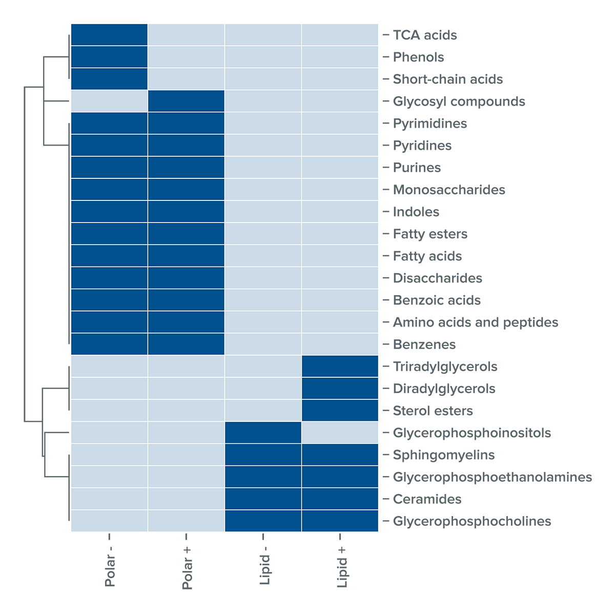An example chart of major chemical classes of metabolites and lipids identified in a Next-Generation Metabolomics analysis.