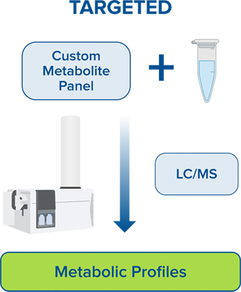 A targeted metabolomics workflow includes the use of a custom metabolite panel and LC/MS analysis providing metabolic profiles.
