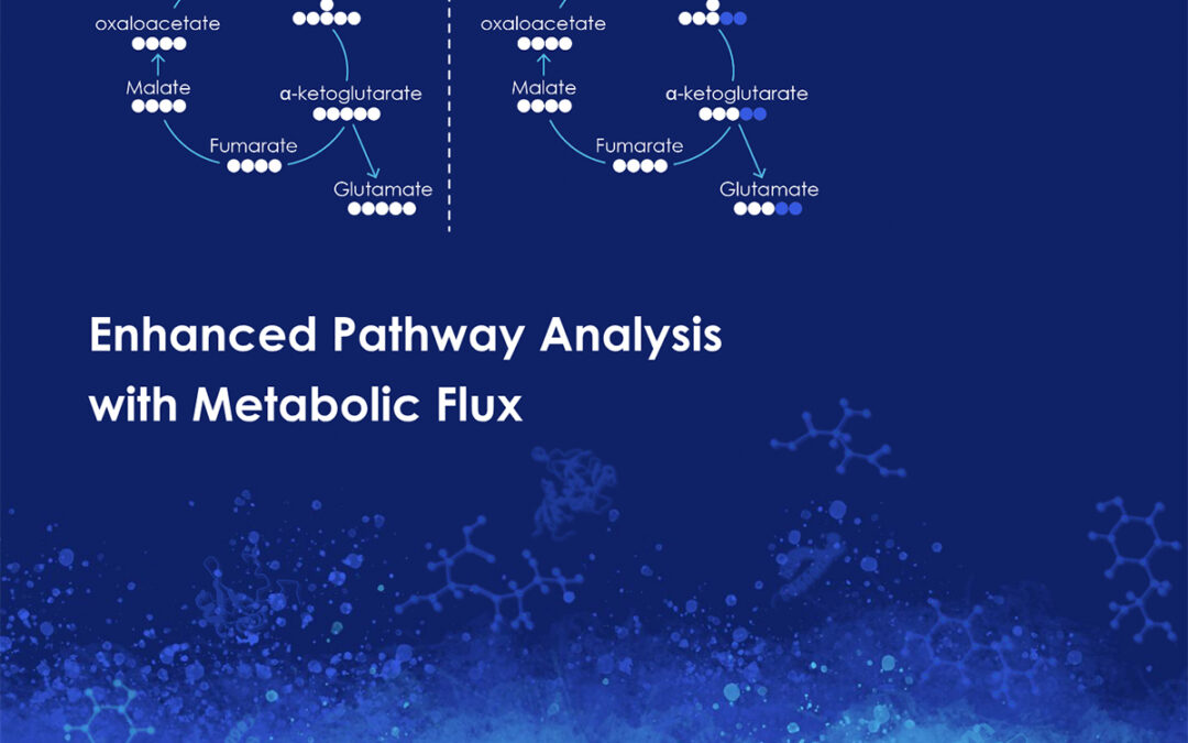 Enhanced Pathway Analysis with Metabolic Flux