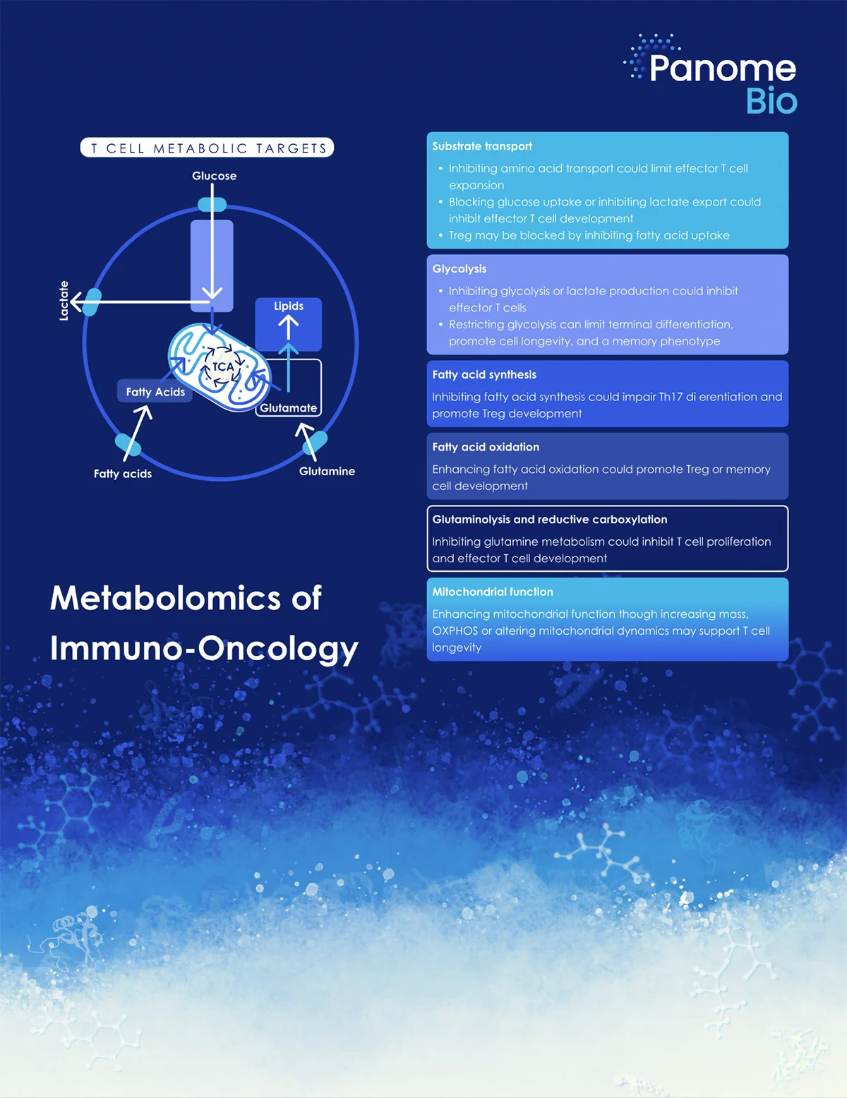 Metabolomics of Immuno-Oncology: Insights into Cancer Therapy