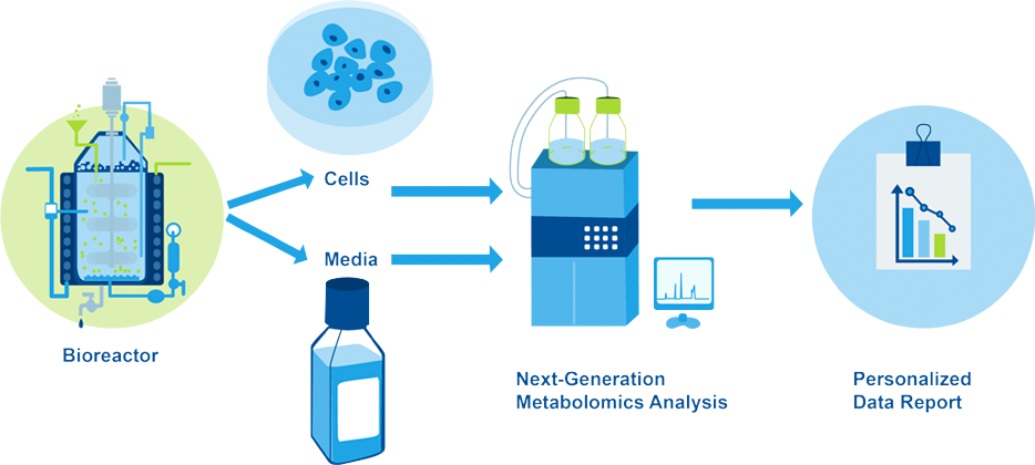 Optimize Bioprocessing Parameters with Next-Generation Metabolomics™, Lipidomics and Proteomics