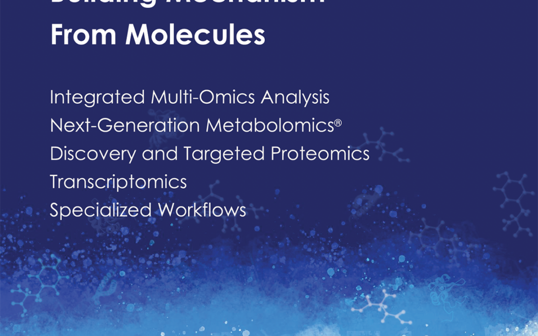 Building Mechanism from Molecules