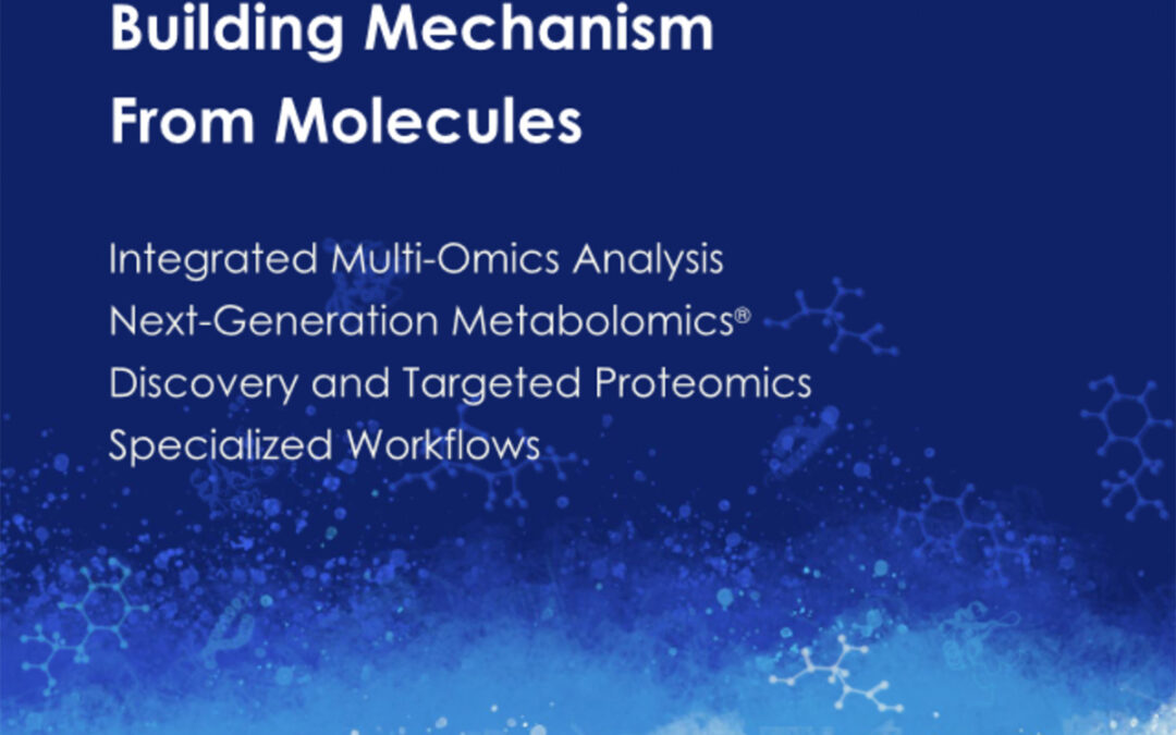 Building Mechanism from Molecules