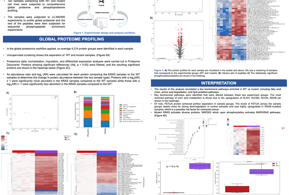 Phosphoproteomics Profiling of Colorectal Cancer