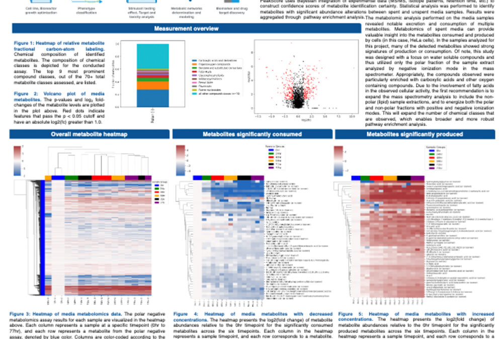 Untargeted Metabolomics for Bioprocess Optimization