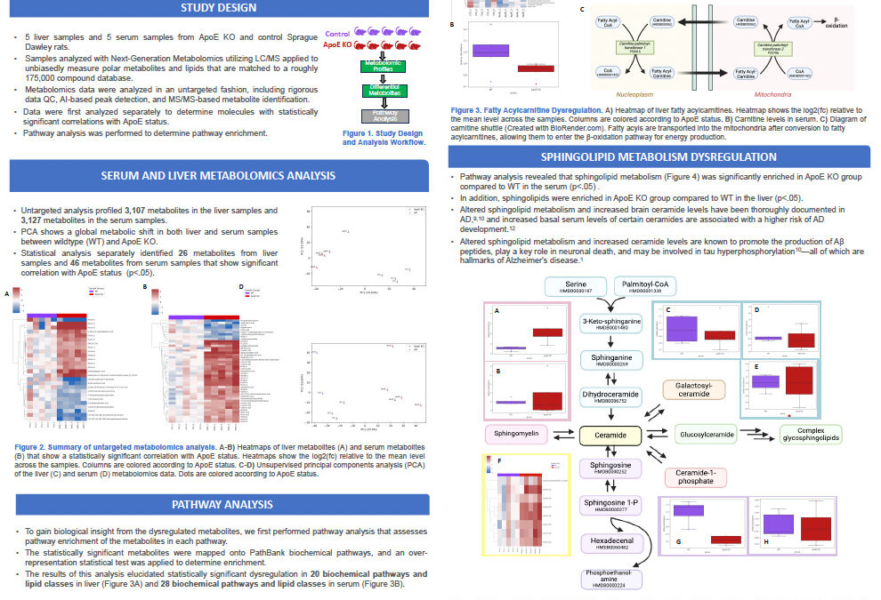 Metabolomics of Alzheimer’s Disease in ApoE Knockout Rats