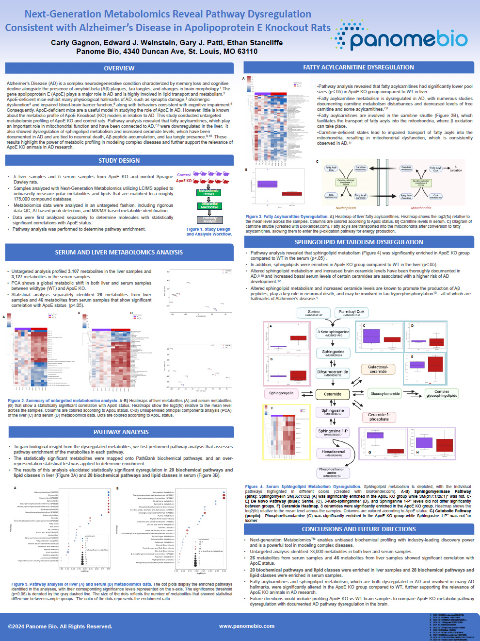 Metabolomics of Alzheimer’s Disease in ApoE Knockout Rats