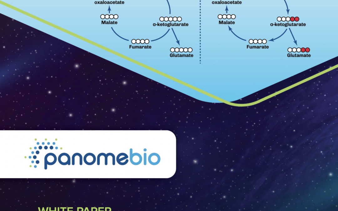 Enhanced Pathway Analysis with Metabolic Flux