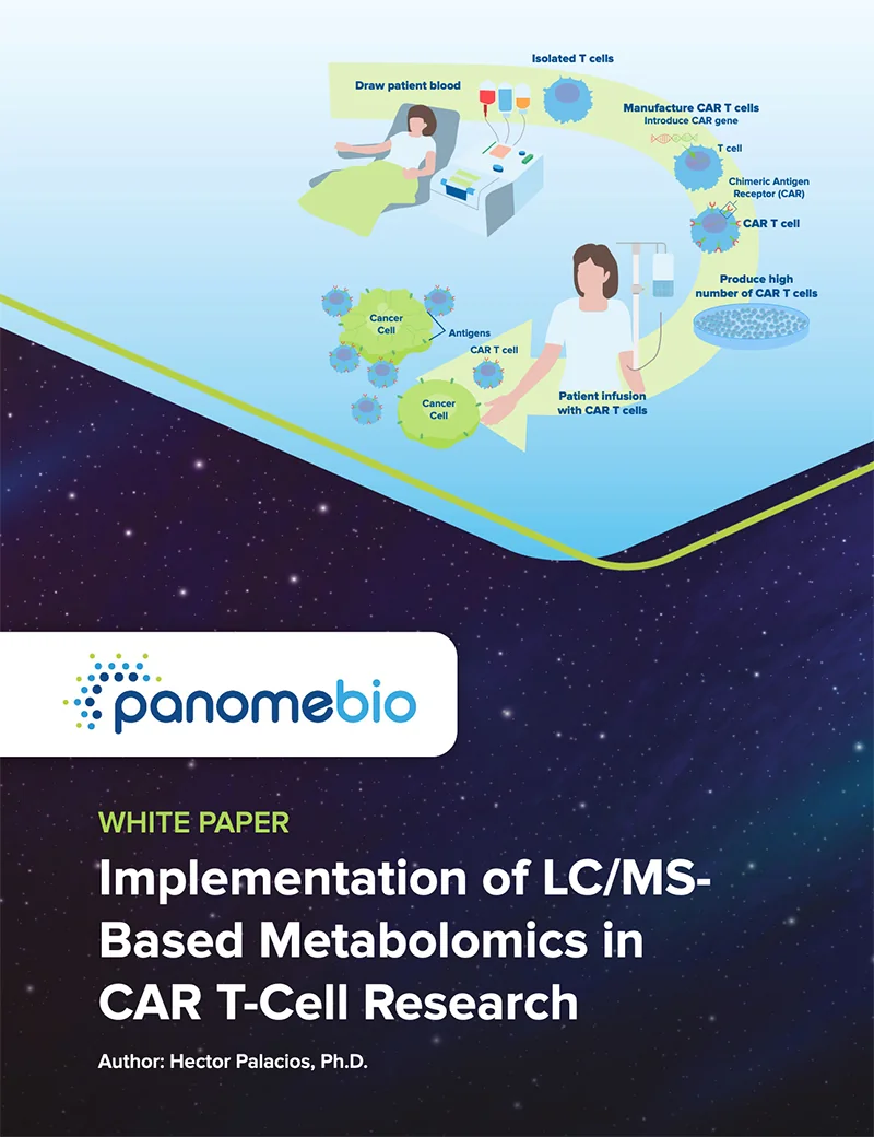 Implementation of LC/MS- Based Metabolomics in CAR T-Cell Research