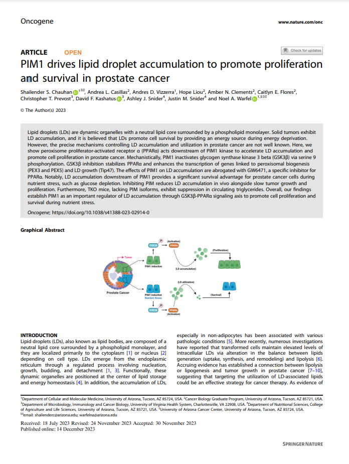 PIM1 drives lipid droplet accumulation to promote proliferation and survival in prostate cancer