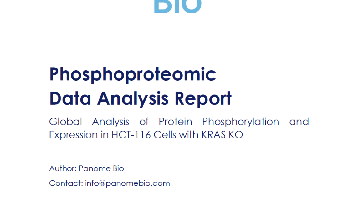 Global Phosphoproteomic Analysis of KRAS Knockout