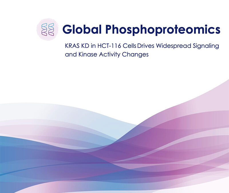 Global Phosphoproteomic Analysis of KRAS KD