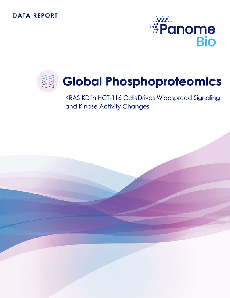 Global Phosphoproteomic Analysis of KRAS KD