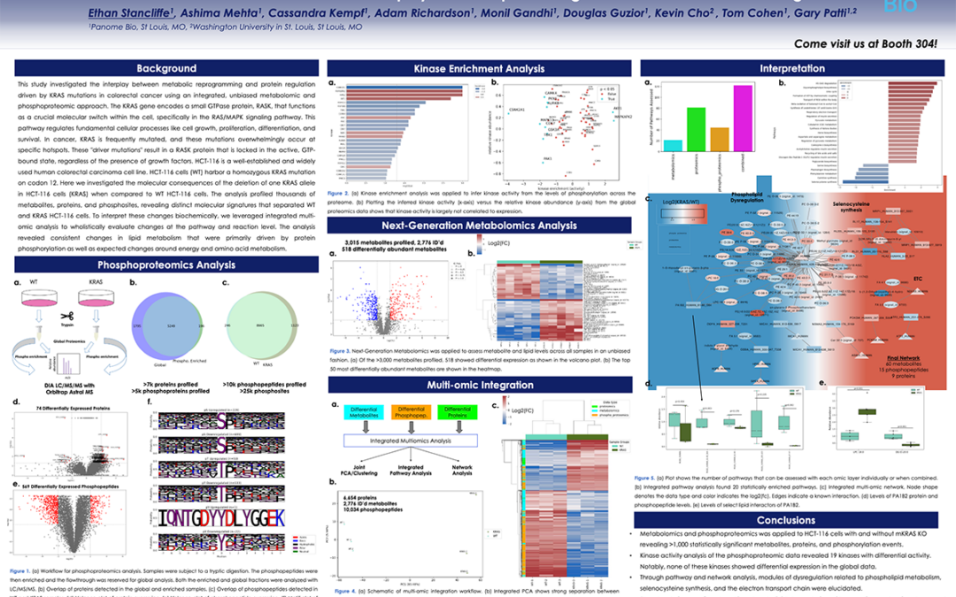 Global Phosphoproteomic Analysis of KRAS Mutation