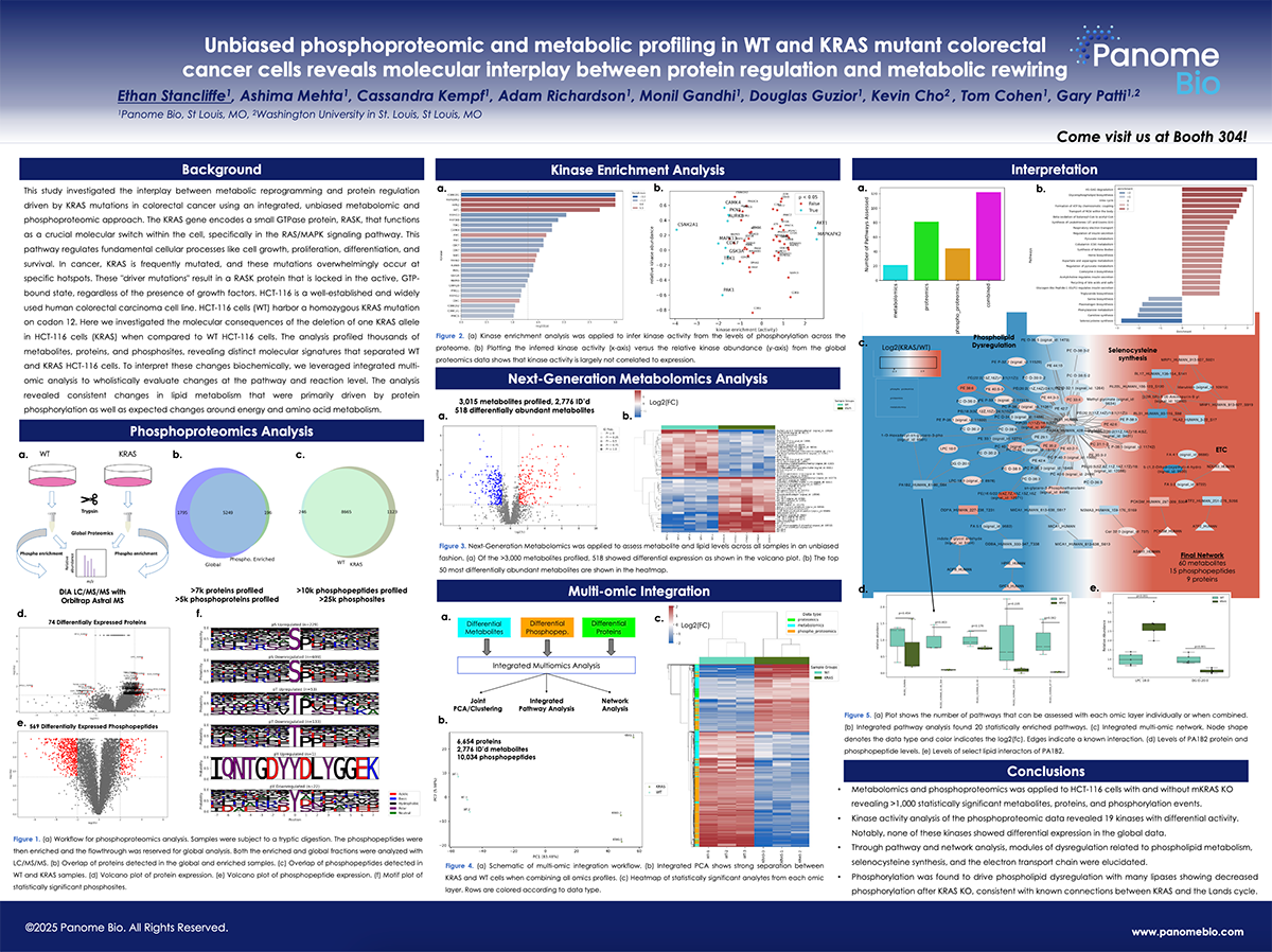 Global Phosphoproteomic Analysis of KRAS Mutation