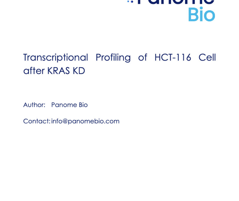 Transcriptomic Analysis of KRAS Knockdown