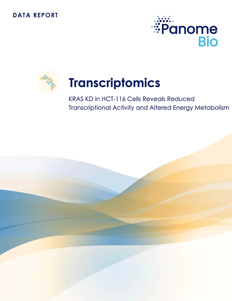 Transcriptomic Analysis of KRAS Knockdown