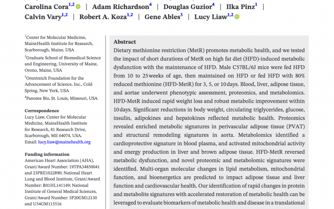 Short-term dietary methionine restriction with high fat diet counteracts metabolic dysfunction in male mice