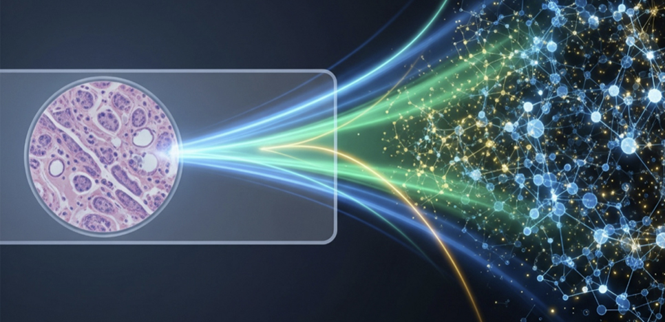 Panome Bio Turns Decades of FFPE Blocks into New Discoveries with Metabolomics