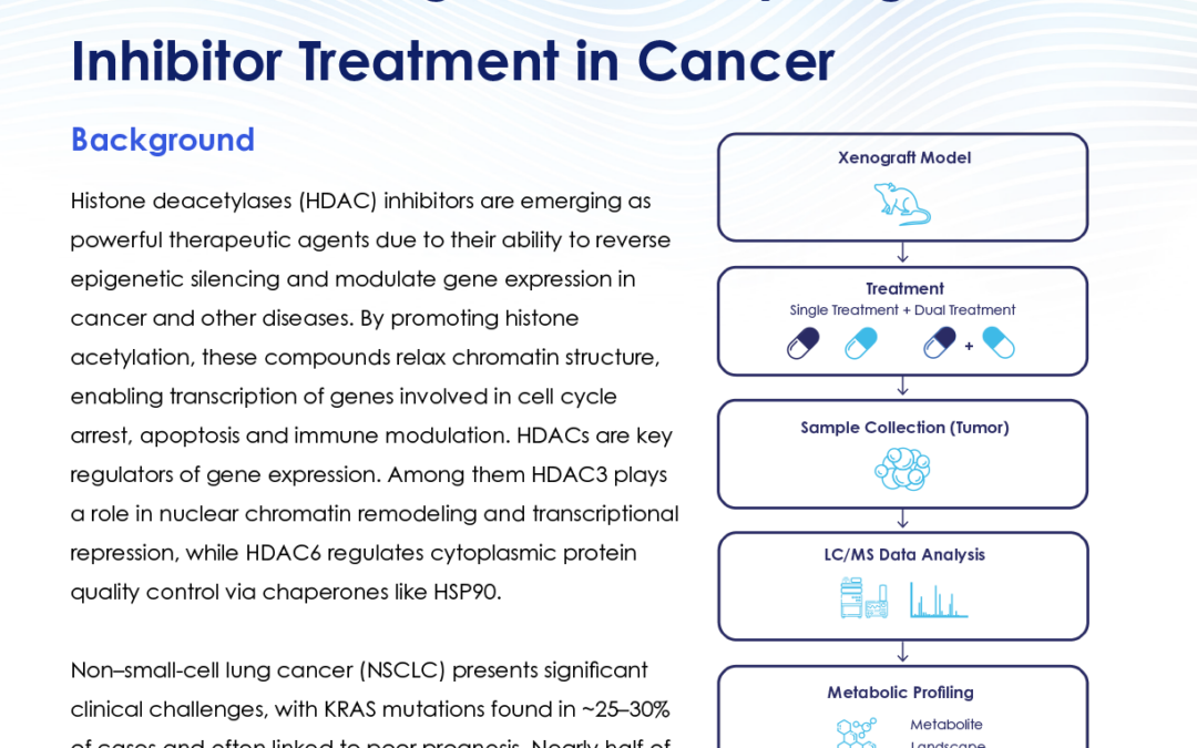 Metabolomics for Mechanism of Action: Understanding Drivers of Synergistic Inhibitor Treatment in Cancer