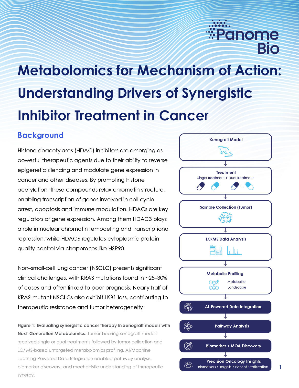 Metabolomics for Mechanism of Action: Understanding Drivers of Synergistic Inhibitor Treatment in Cancer