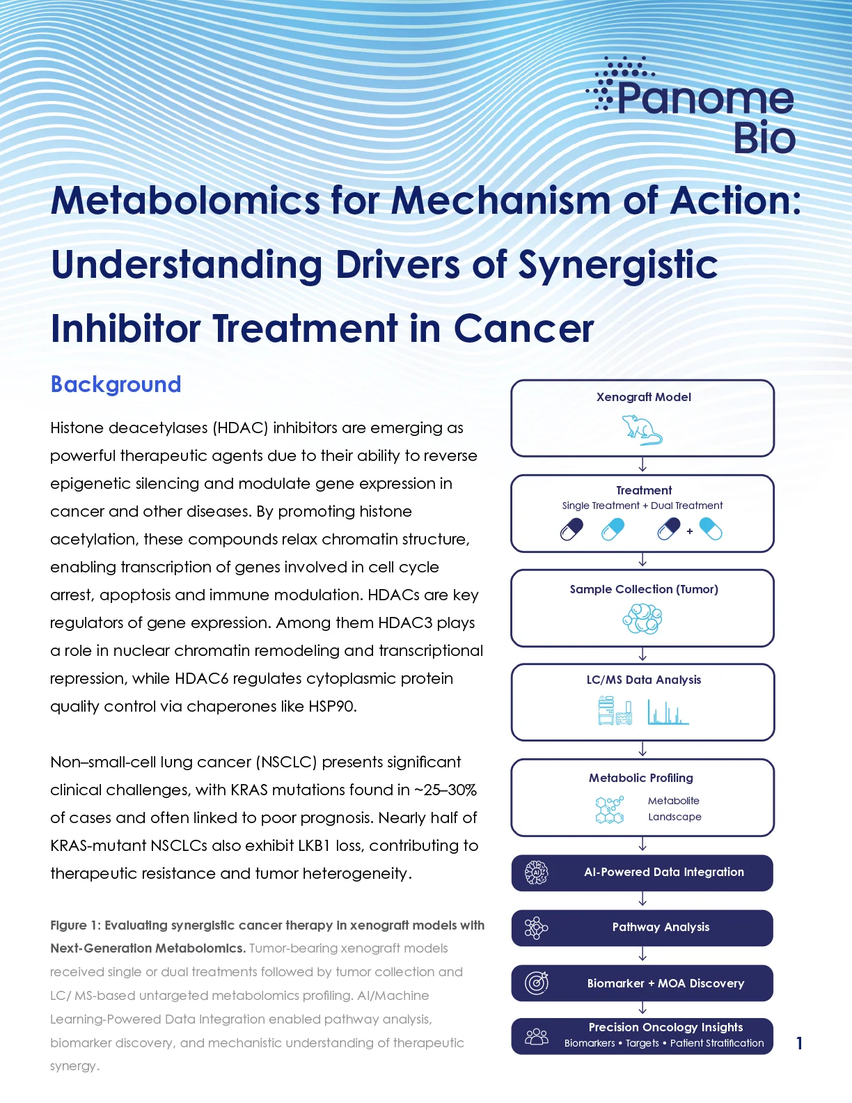Metabolomics for Mechanism of Action: Understanding Drivers of Synergistic Inhibitor Treatment in Cancer