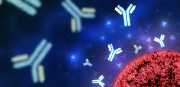 Mapping Signaling Drivers of Antibody Drug Conjugate Resistance