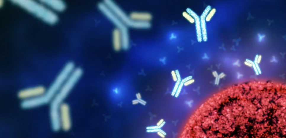 Mapping Signaling Drivers of Antibody Drug Conjugate Resistance