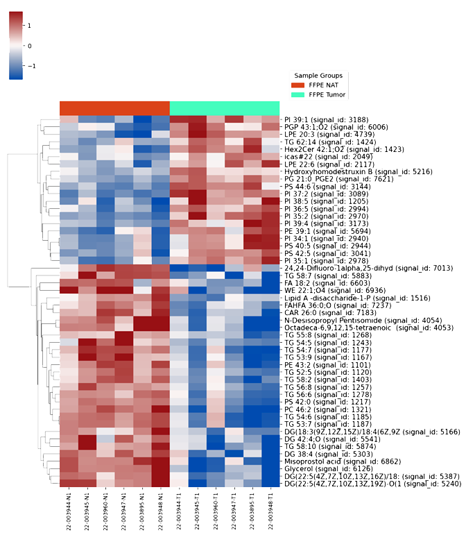 TissueBridge™ FFPE Metabolomics | Panome Bio