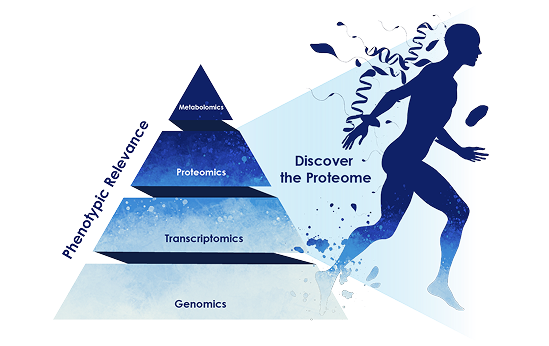 Tissue-Based Discovery Proteomics