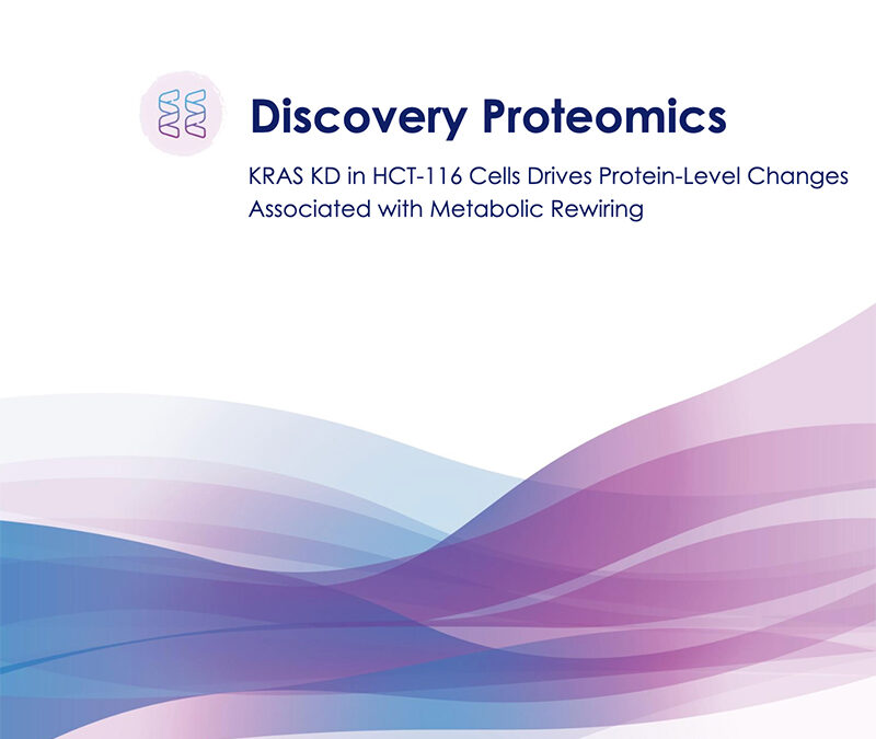 Protein Expression in HCT-116 KRAS KO Cells