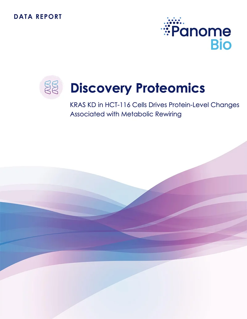 Protein Expression in HCT-116 KRAS KO Cells