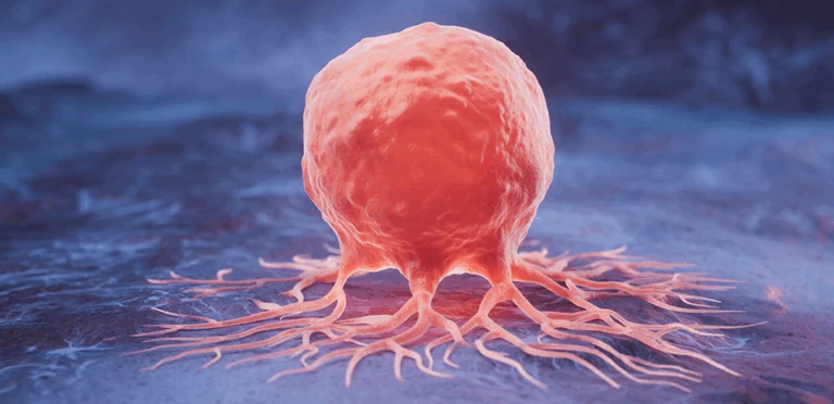 From mRNA to Immunity: Multi-Omics Mechanism of Action