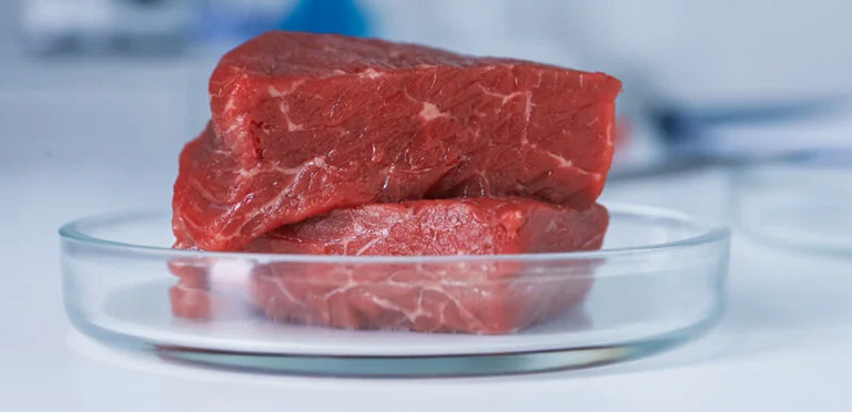 Beyond Trial and Error: Multi-Omics for Cultured Meat Media Optimization