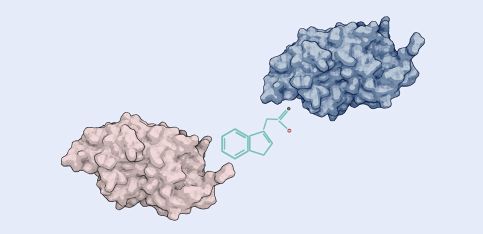 Metabolic Signatures Reveal Molecular Glue Activity