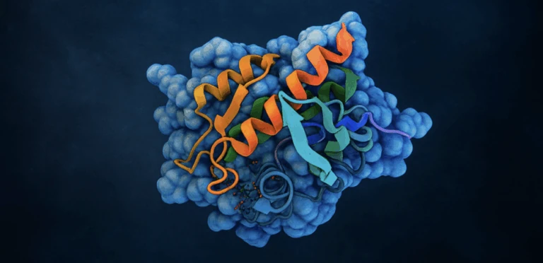 Beyond Protein Levels: Phosphoproteomics for mRNA Therapies