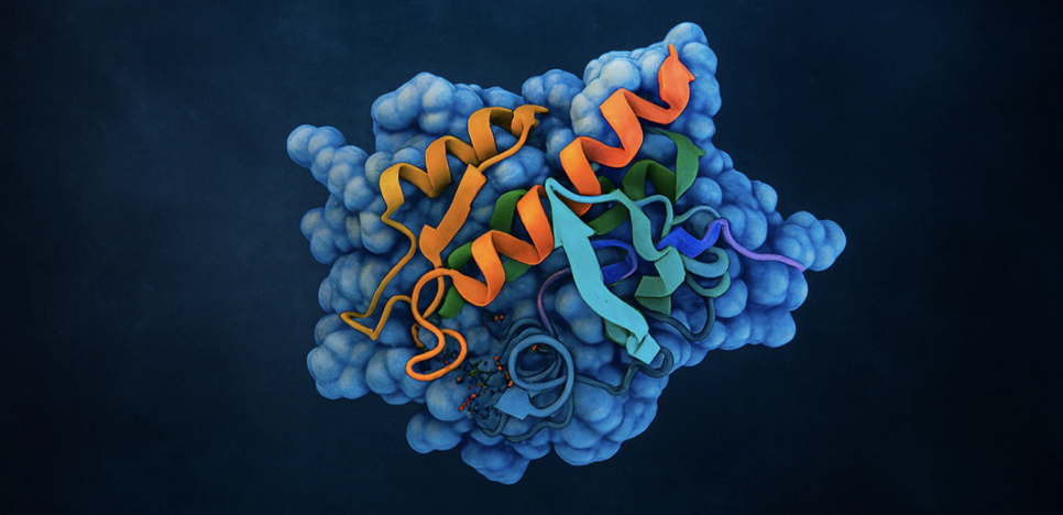 Beyond Protein Levels: Phosphoproteomics for mRNA Therapies