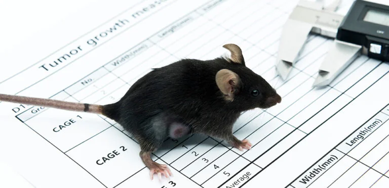 Imaging and Metabolomics in Radioligand Therapy