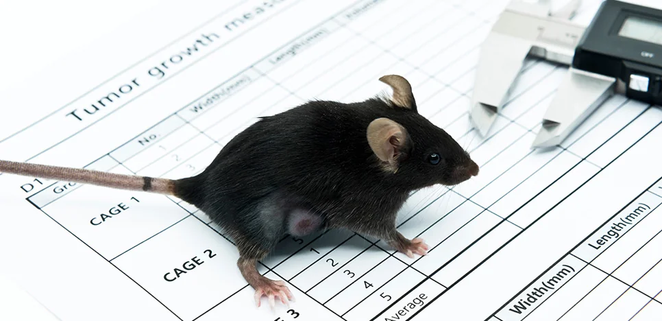 Imaging and Metabolomics in Radioligand Therapy