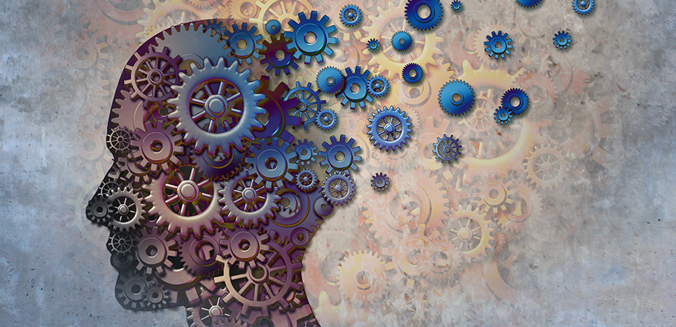 Sphingolipid Dysregulation in ApoE Alzheimer’s Models