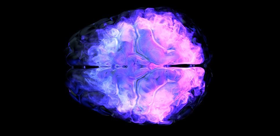 How Untargeted Metabolomics Validates ApoE Knockout Models in AD