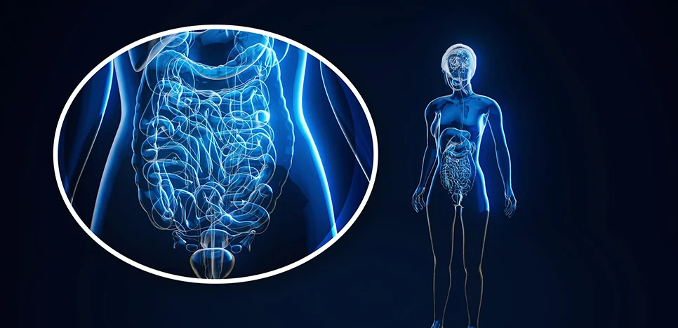 Quantifying Host–Microbiome Interactions in Disease Research