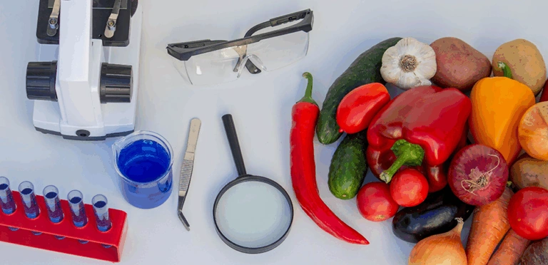 High-Throughput Metabolomics for Food Composition Analysis