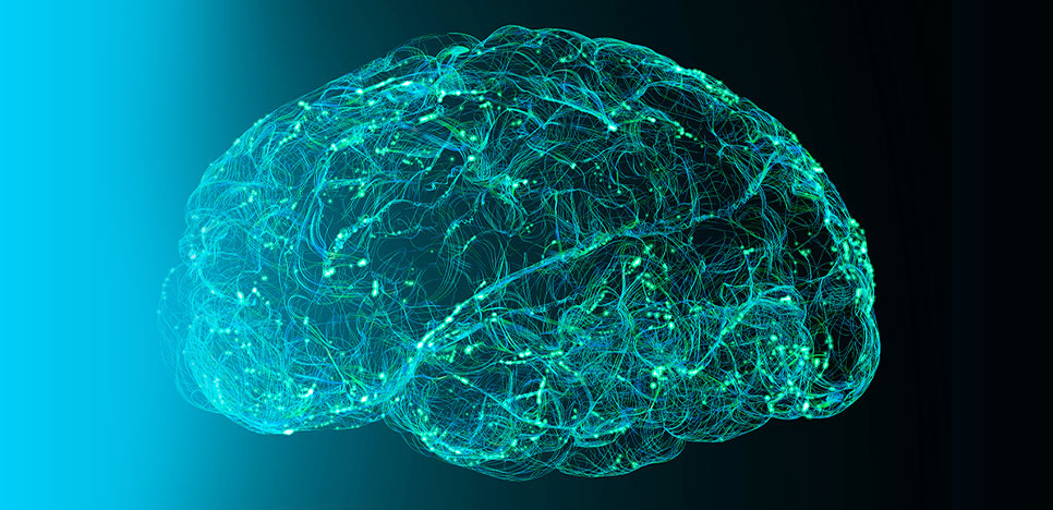 How Metabolomics Uncovers Lipid Dysregulation in Alzheimer’s