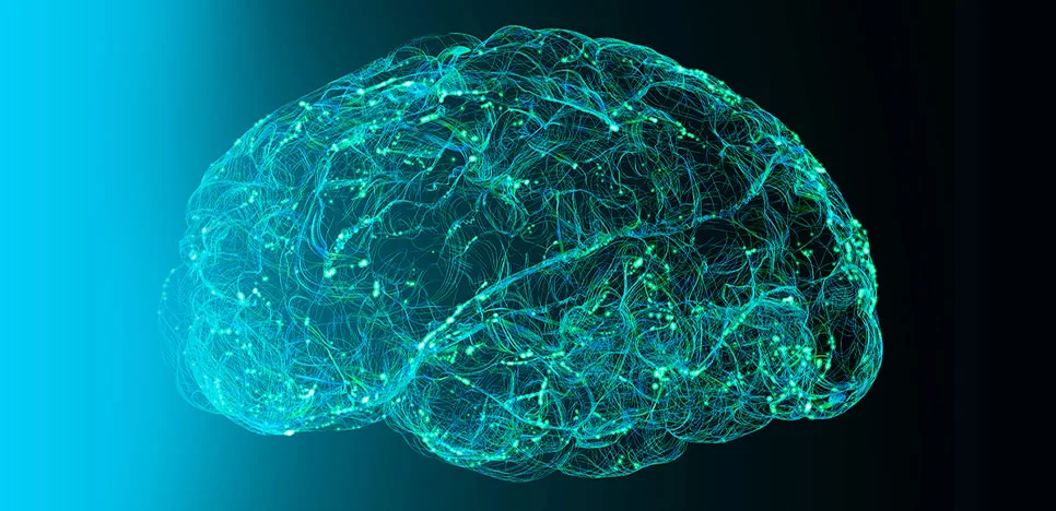 How Metabolomics Uncovers Lipid Dysregulation in Alzheimer’s